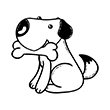 Koira