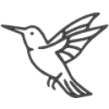 Lintu