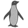 Pingviini