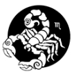 Skorpioni