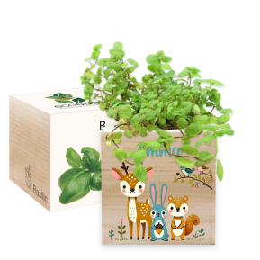 Painettu EcoCube lumottu mets