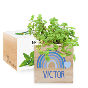 Painettu EcoCube Sateenkaari
