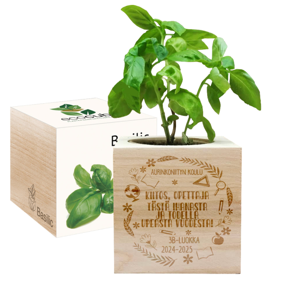 Kaiverrettu EcoCube Kiitollisuus opettajalle