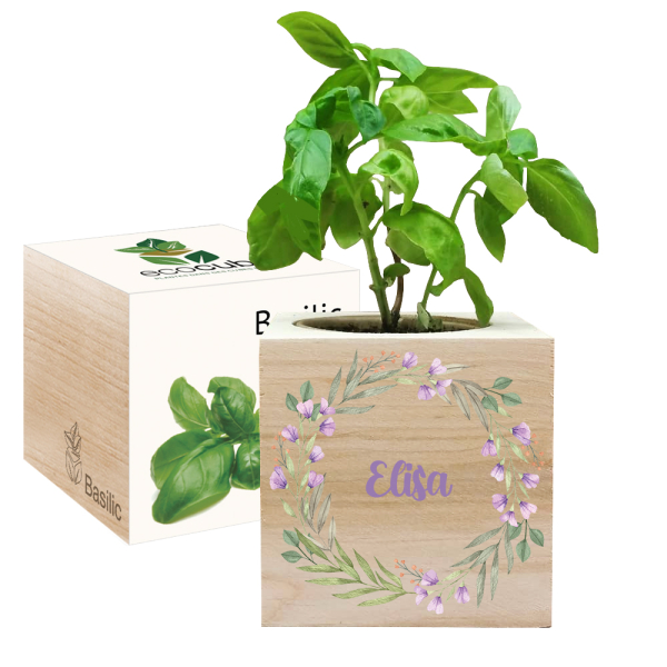 Painettu EcoCube Kasvikranssi