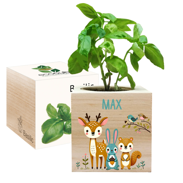Painettu EcoCube lumottu metsä