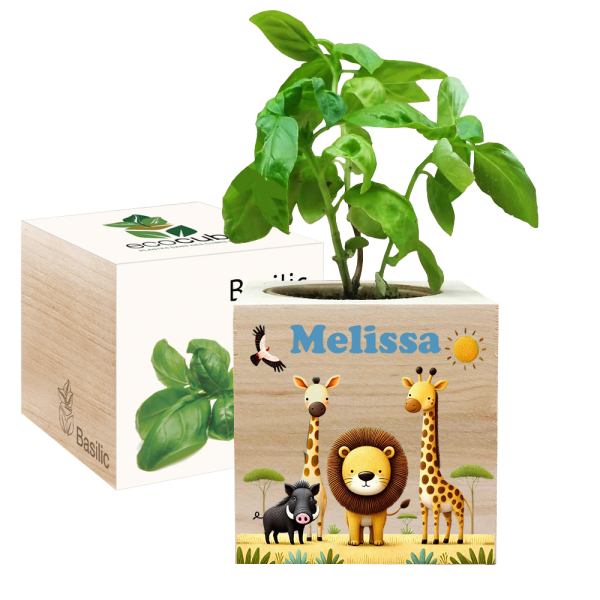 Painettu EcoCube Safari