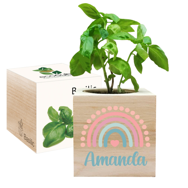 Painettu EcoCube Sateenkaari