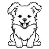 Puppy 3