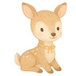 Fawn