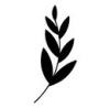 Branch