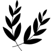 Branches