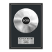 Framed poster of a personalised Gold or Platinum record - platinum