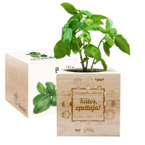 Kaiverrettu EcoCube Kiitos opettaja