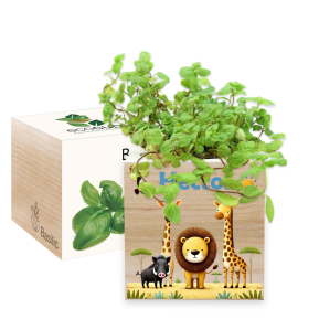Painettu EcoCube Safari