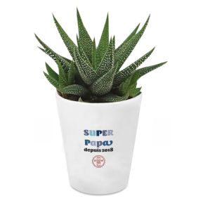 Plante grasse Fte des Pres personnalise