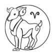 Oinas