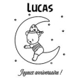 Ourson lune