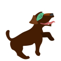 Koira3