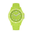 Homme vert