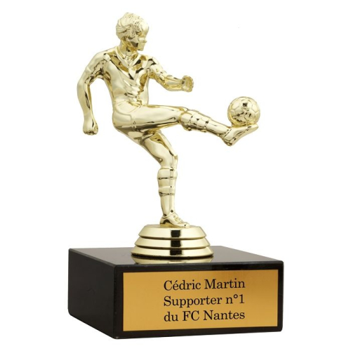 Statue trophée footballeur