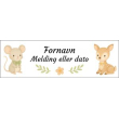 Fornavn og kort melding