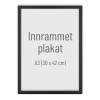 Rammet plakat