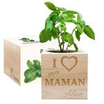 Ecocube maman