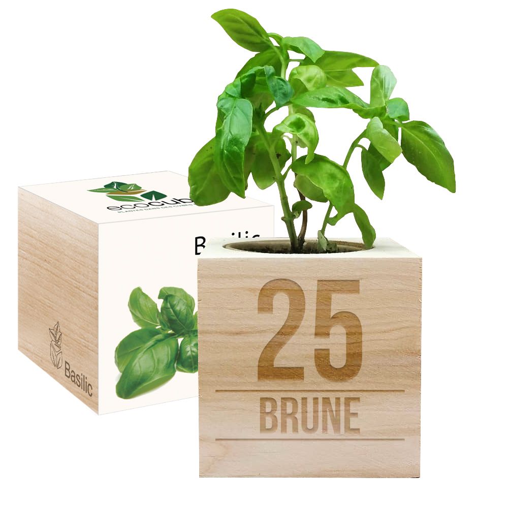 Cadeau anniversaire - EcoCube personnalisé anniversaire