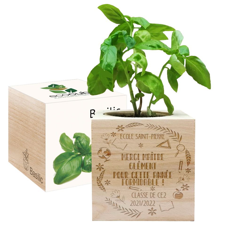 Cadeau Maîtresse - EcoCube Remerciement Maîtresse
