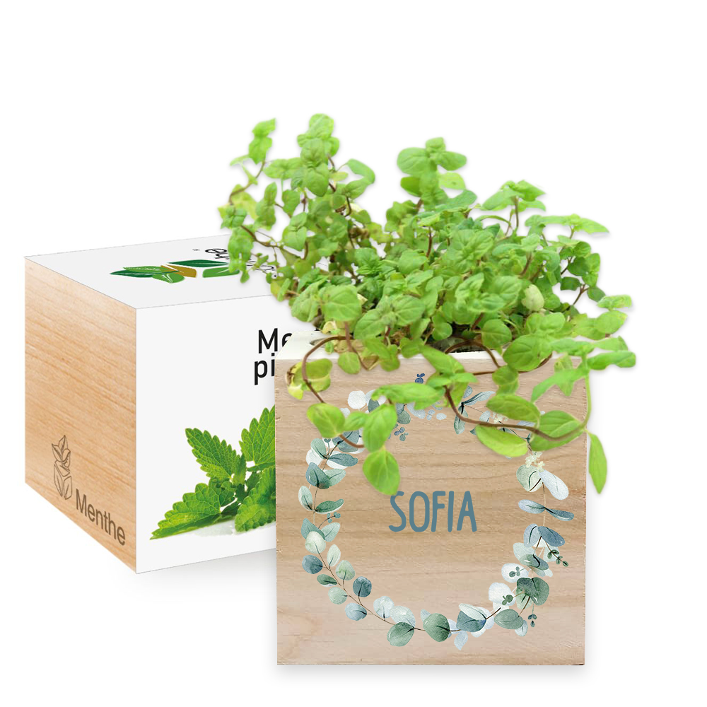 Ecocube couronne végétale personnalisé par impression