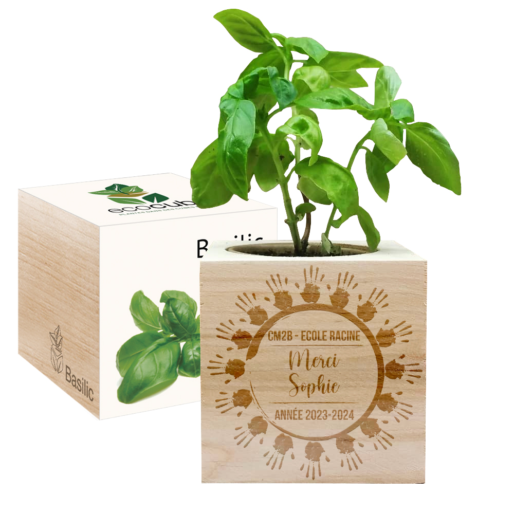 cadeau maîtresse d'école - EcoCube farandole de menottes personnalisé