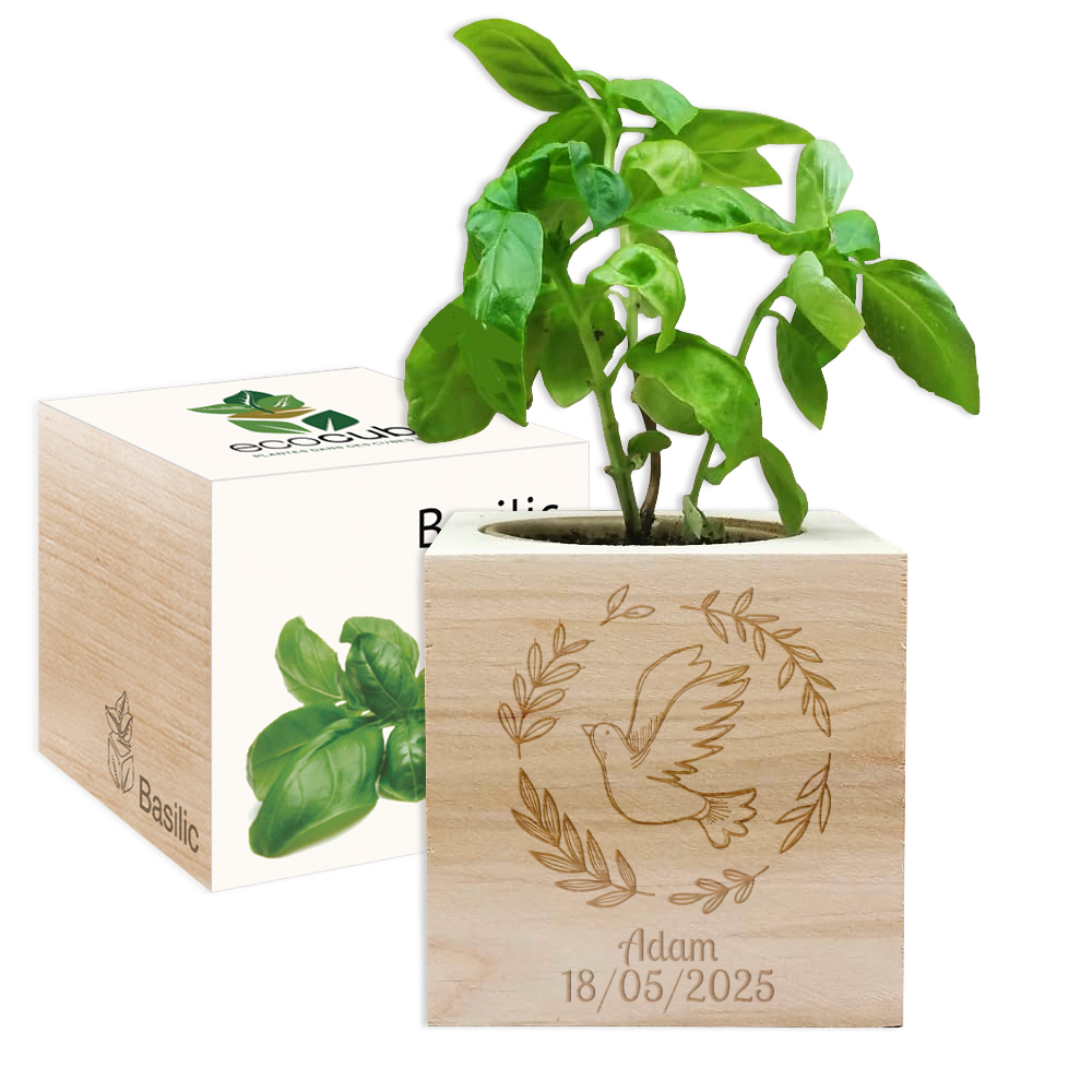 EcoCube gravé colombe baptême