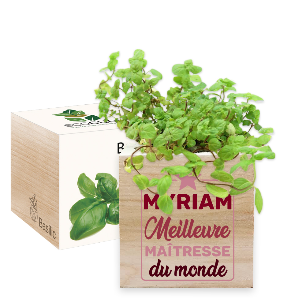 Ecocube meilleure maîtresse du monde