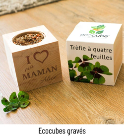 Ecocubes Maman gravés