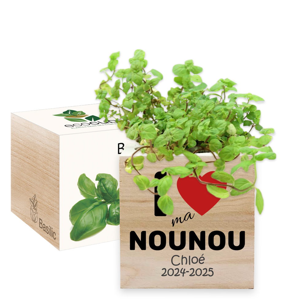 Ecocube meilleure nounou du monde