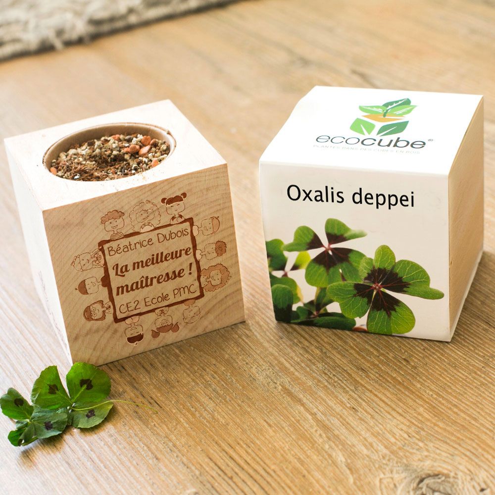 Cadeau personnalisé - EcoCube personnalisé Merci Maîtresse