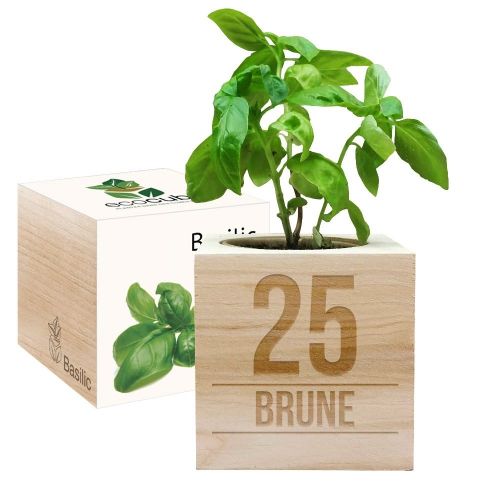 Ecocube anniversaire