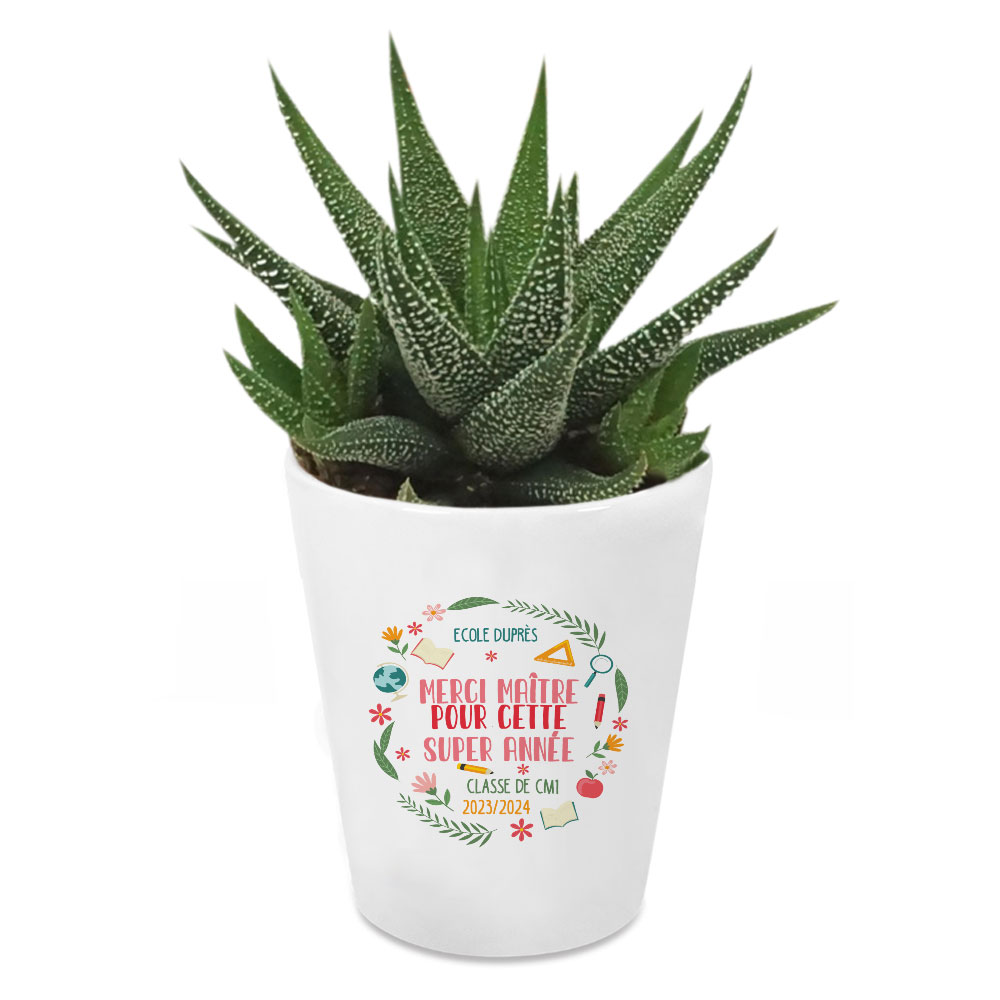 Plante grasse personnalisée Remerciement Maîtresse