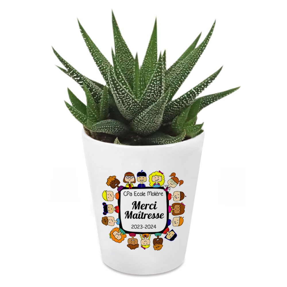 Plante grasse personnalisée Merci Maîtresse - cadeau maîtresse - cadeau maître - cadeau ATSEM