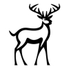 Älg