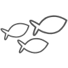 Fisk