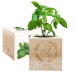 EcoCube graverad duva dop
