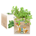 Tryckt EcoCube Förtrollad skog