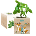 Tryckt EcoCube Förtrollad skog